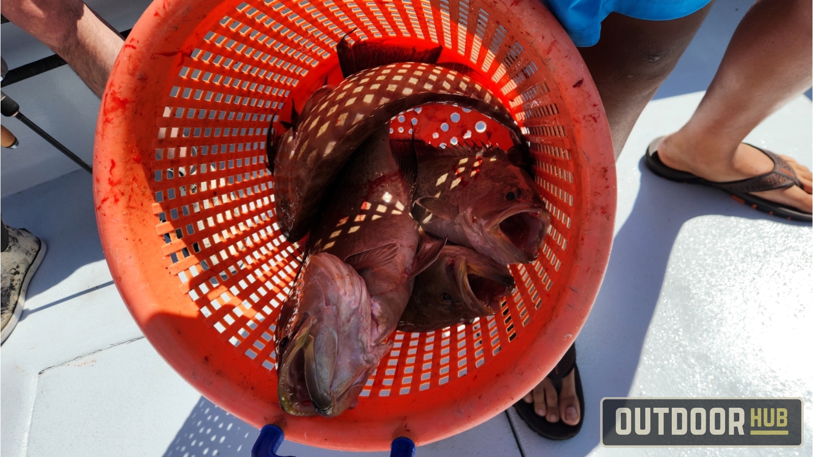 Out of Season Offshore Backside Fishing in Destin Florida PT. 1