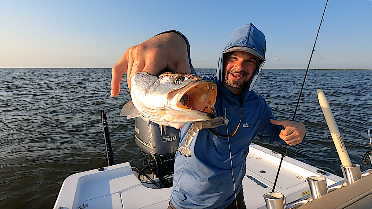 Searching for Speckled Trout? Attempt the Oyster Reefs!