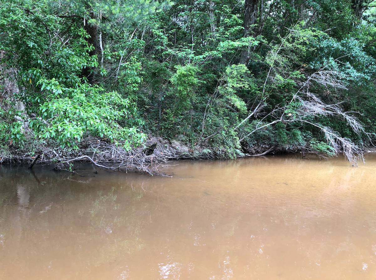 Utilizing Rooster Tails to Catch Bass