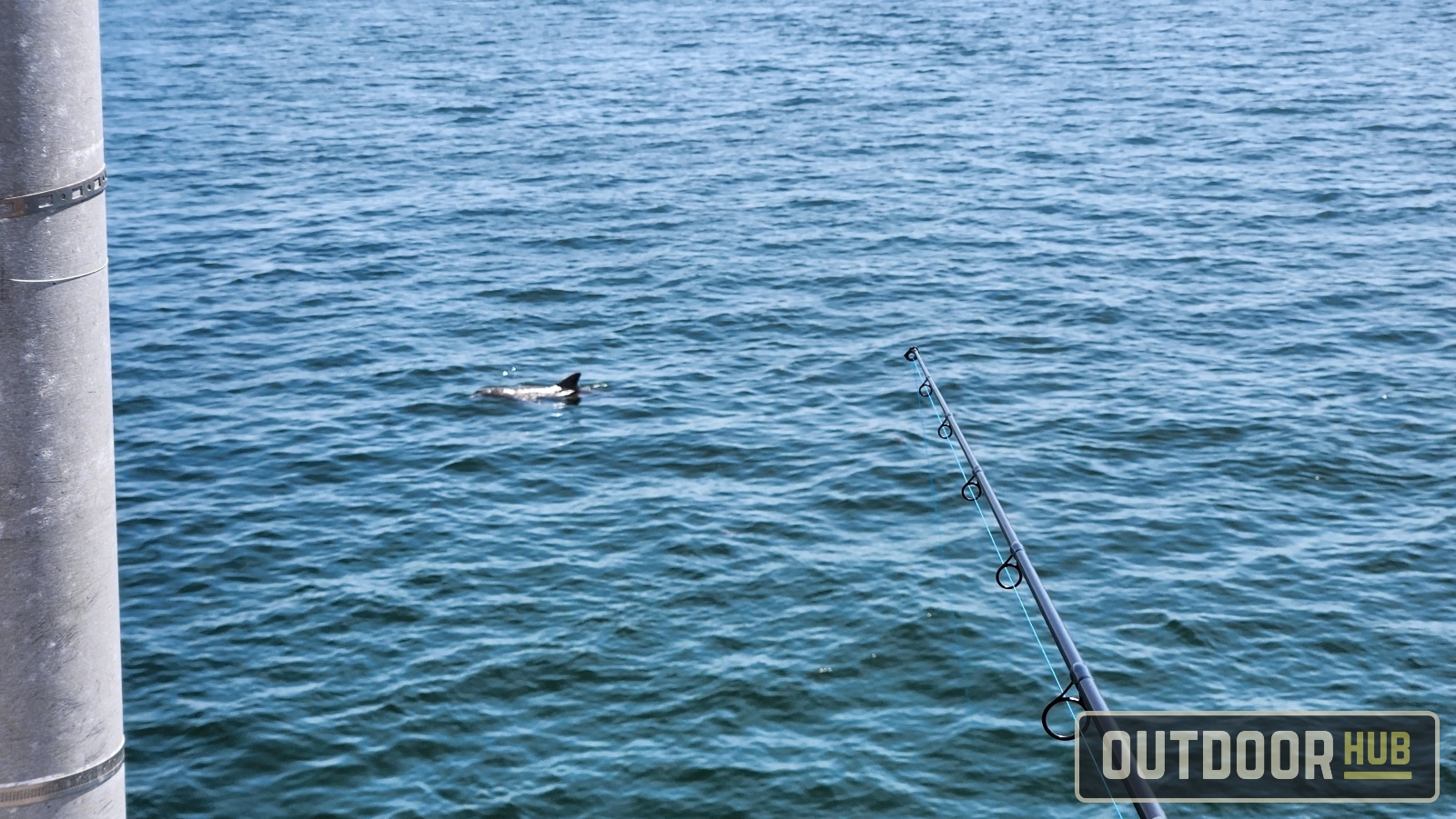 Fishing the World's Longest Fishing Pier - The Tampa Skyway Fishing Pier