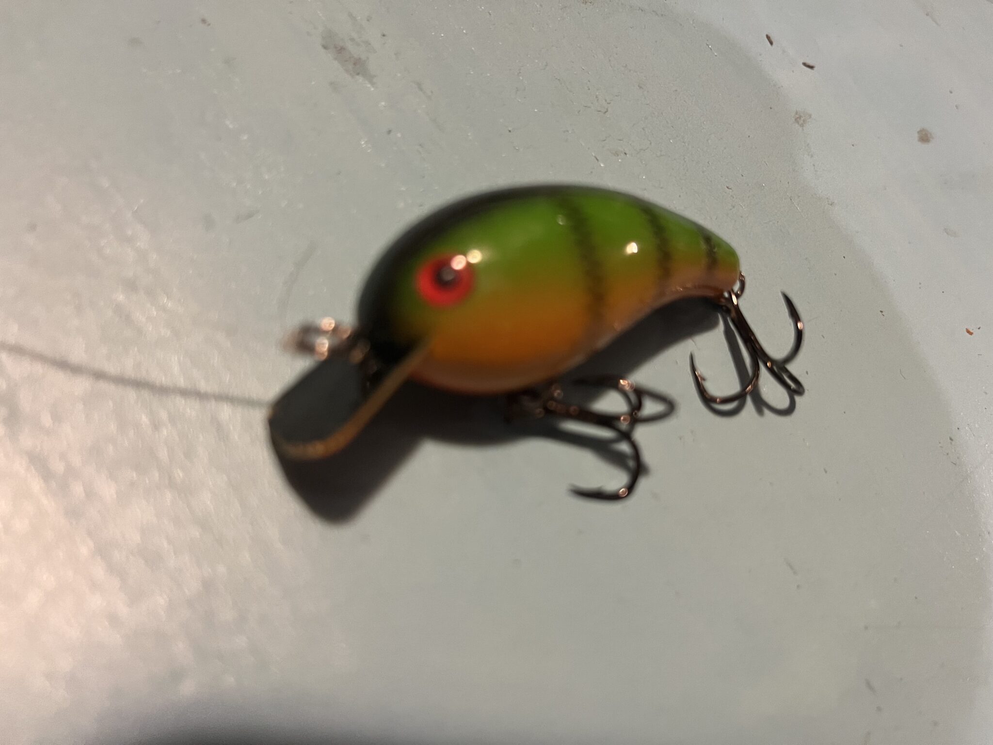 Yellow Perch in Kentucky? OutdoorHub