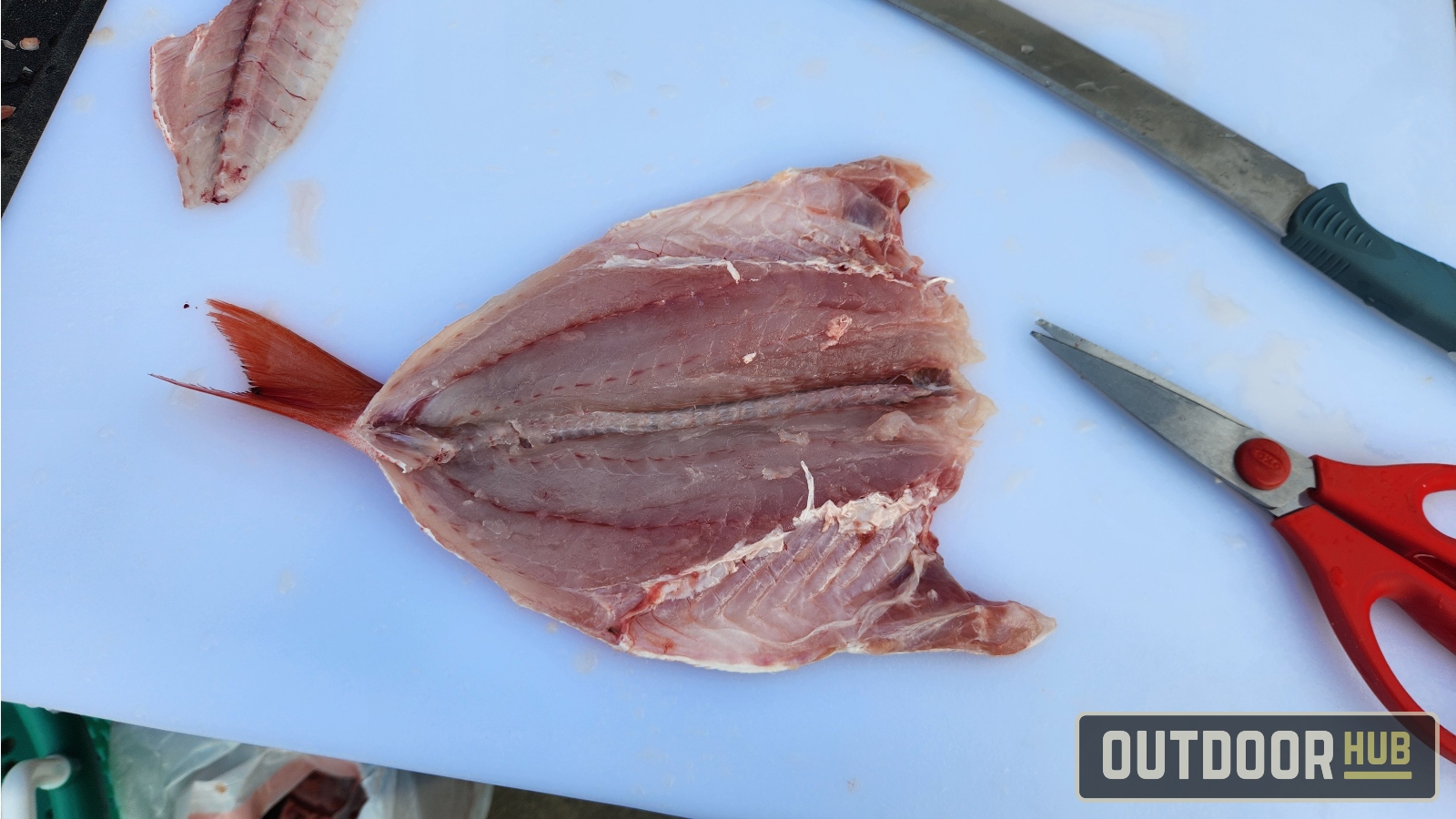 Breaking it Down – Butterflied Fish – Vermillion Snapper