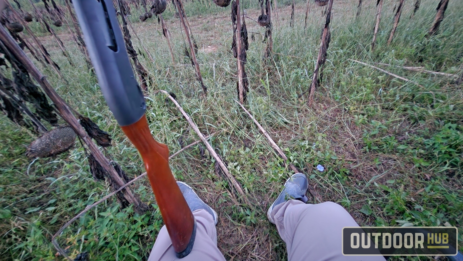 Hunting the Georgia Dove Opener at Berry College WMA