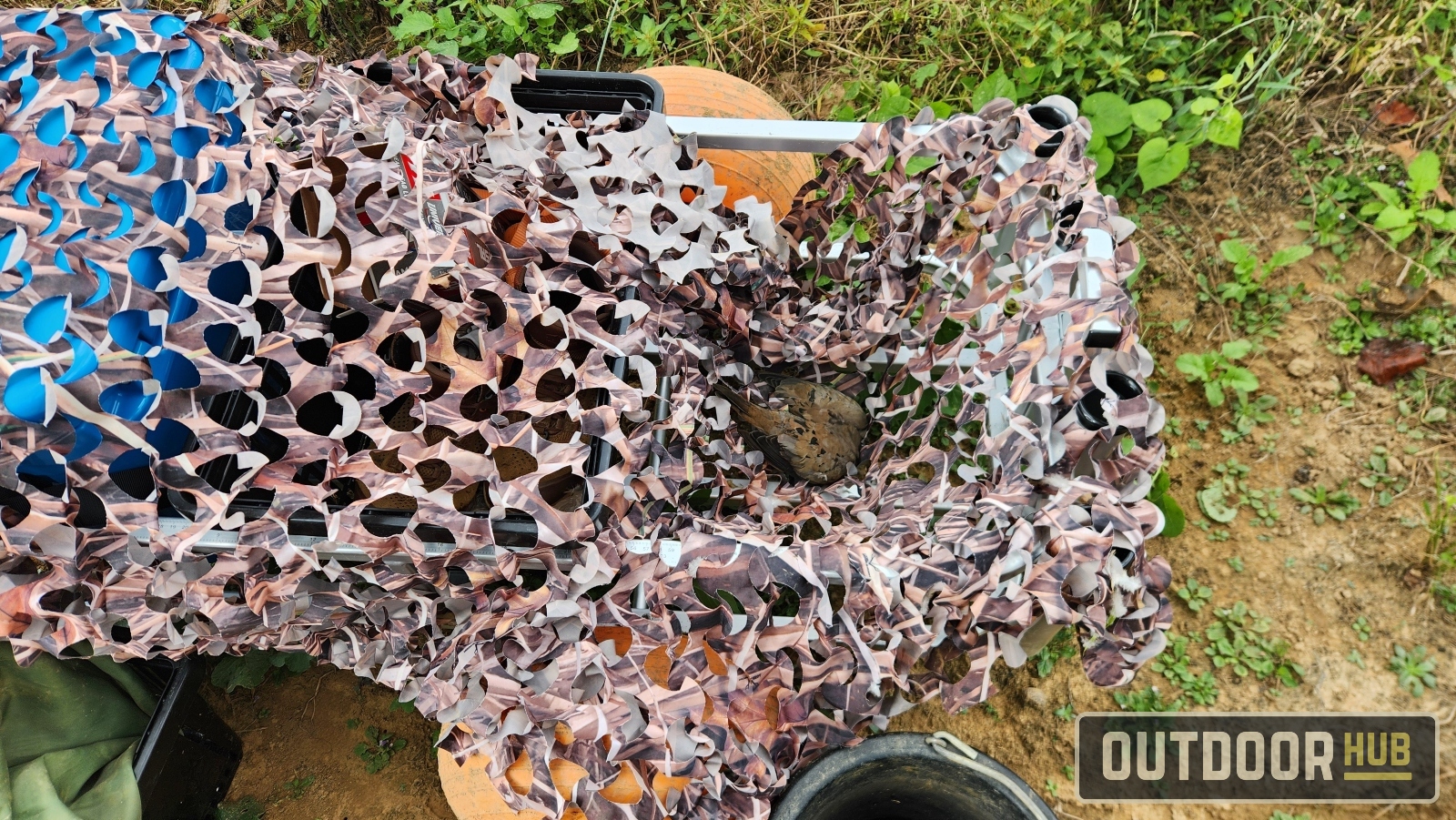 Hunting the Georgia Dove Opener at Berry College WMA