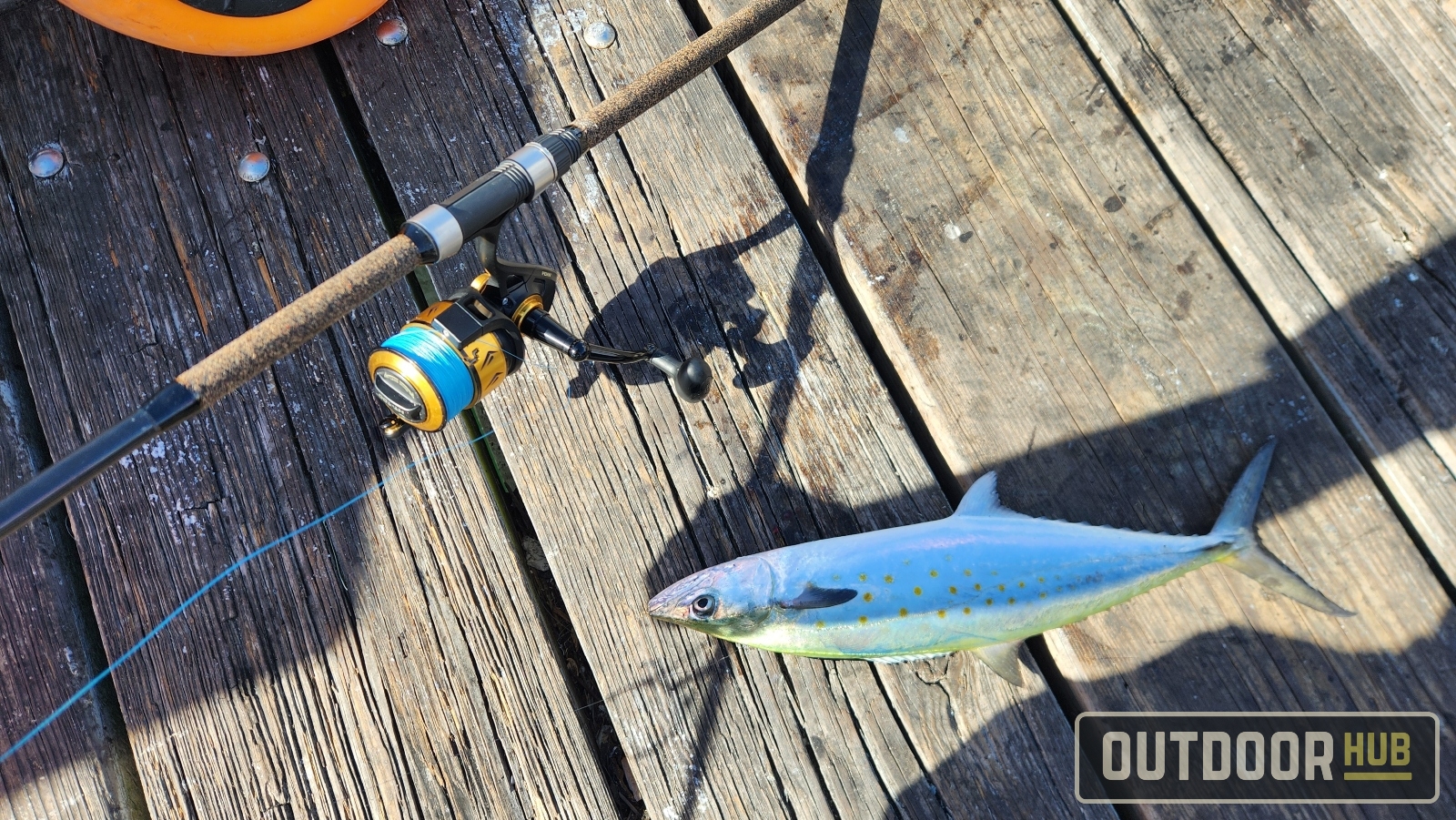 November Mackerel in Panama City Beach