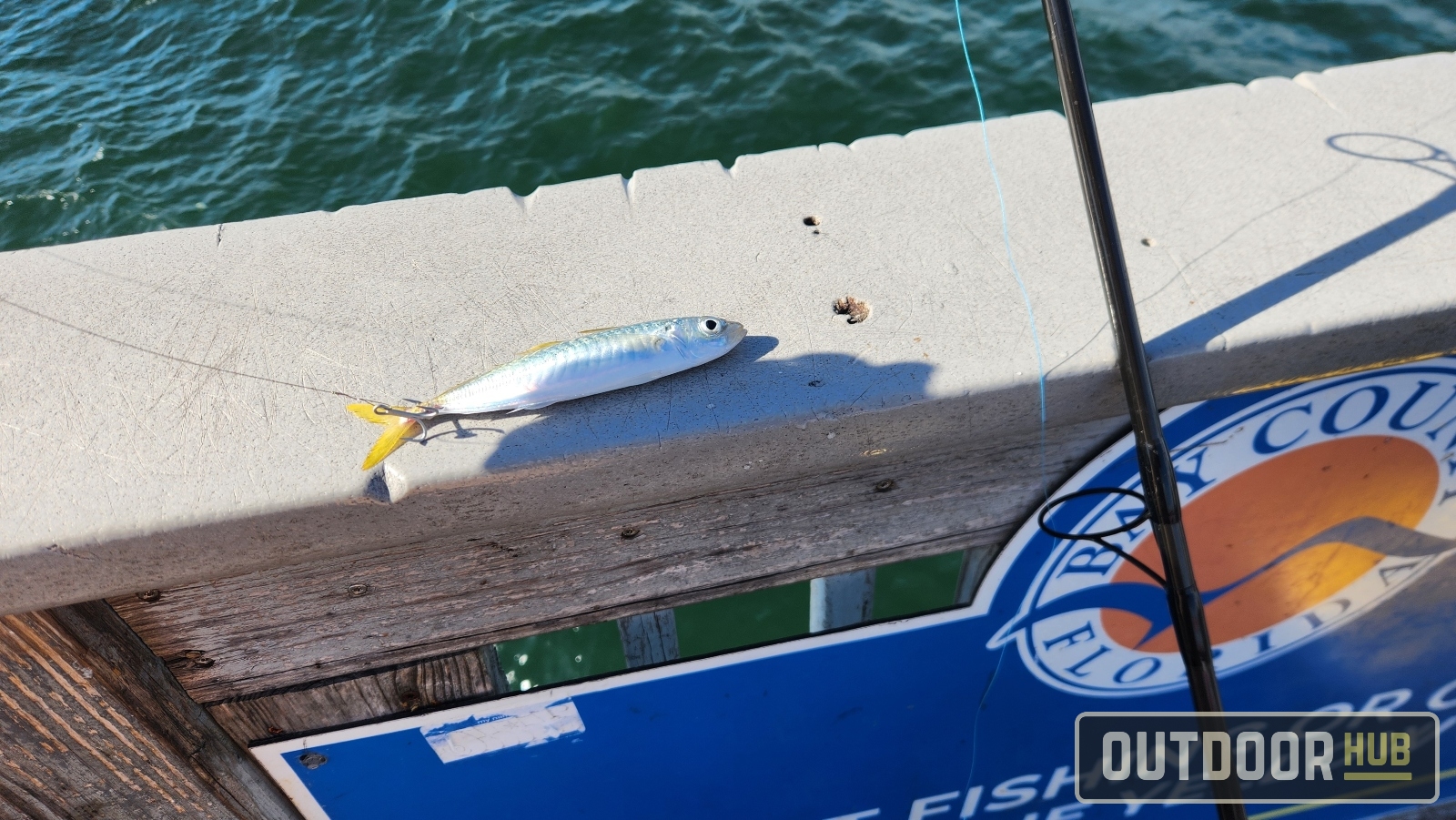 November Mackerel in Panama City Beach