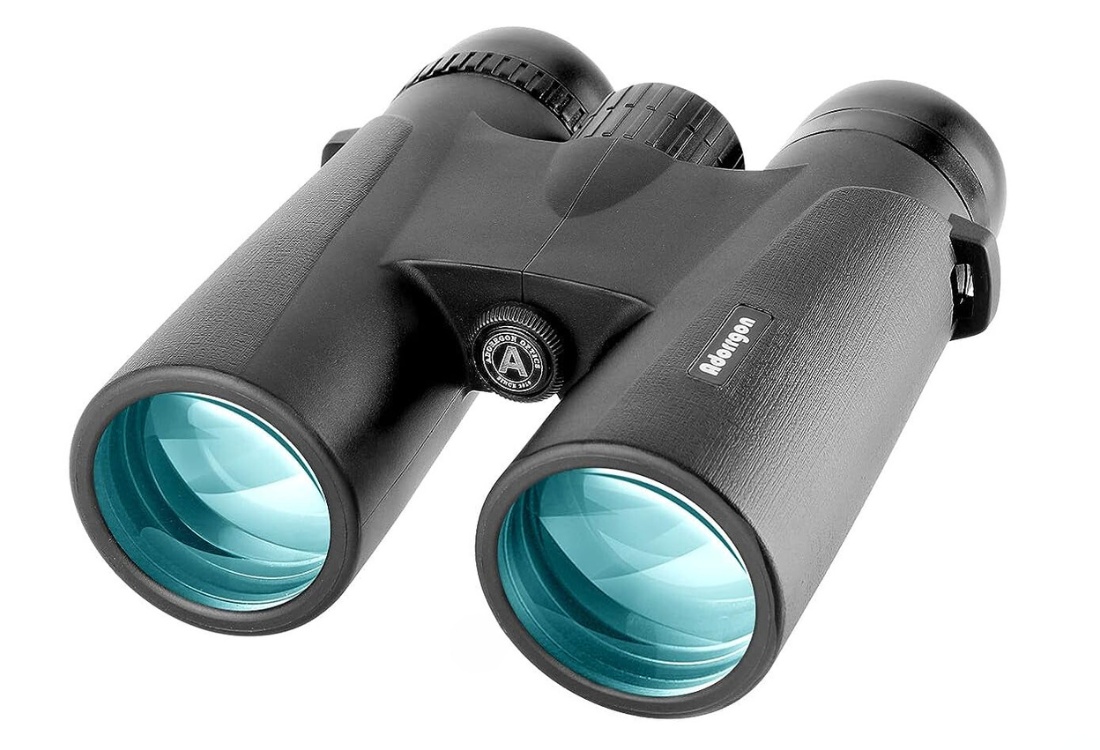 Best Budget Binoculars for Hunters: 10 Top Picks Under $100