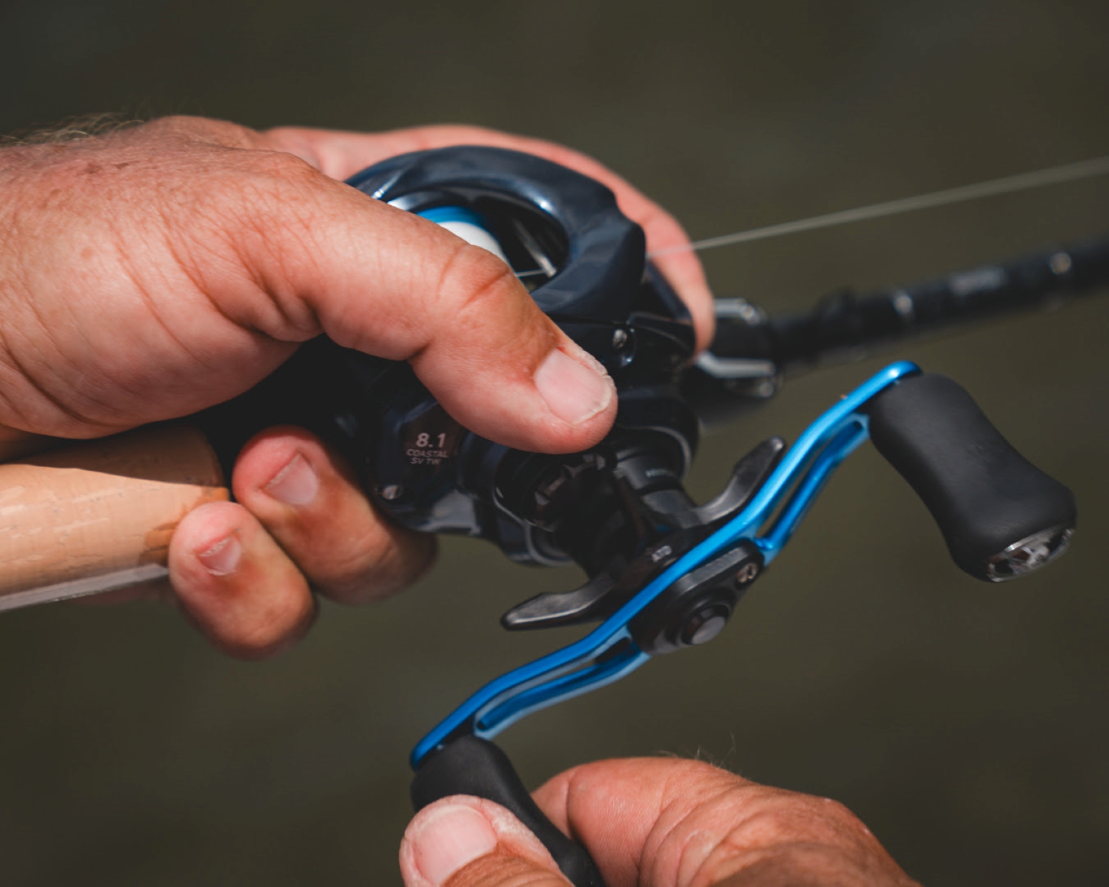 The DAIWA 24 Coastal SV TW 150 Baitcaster - Now Available