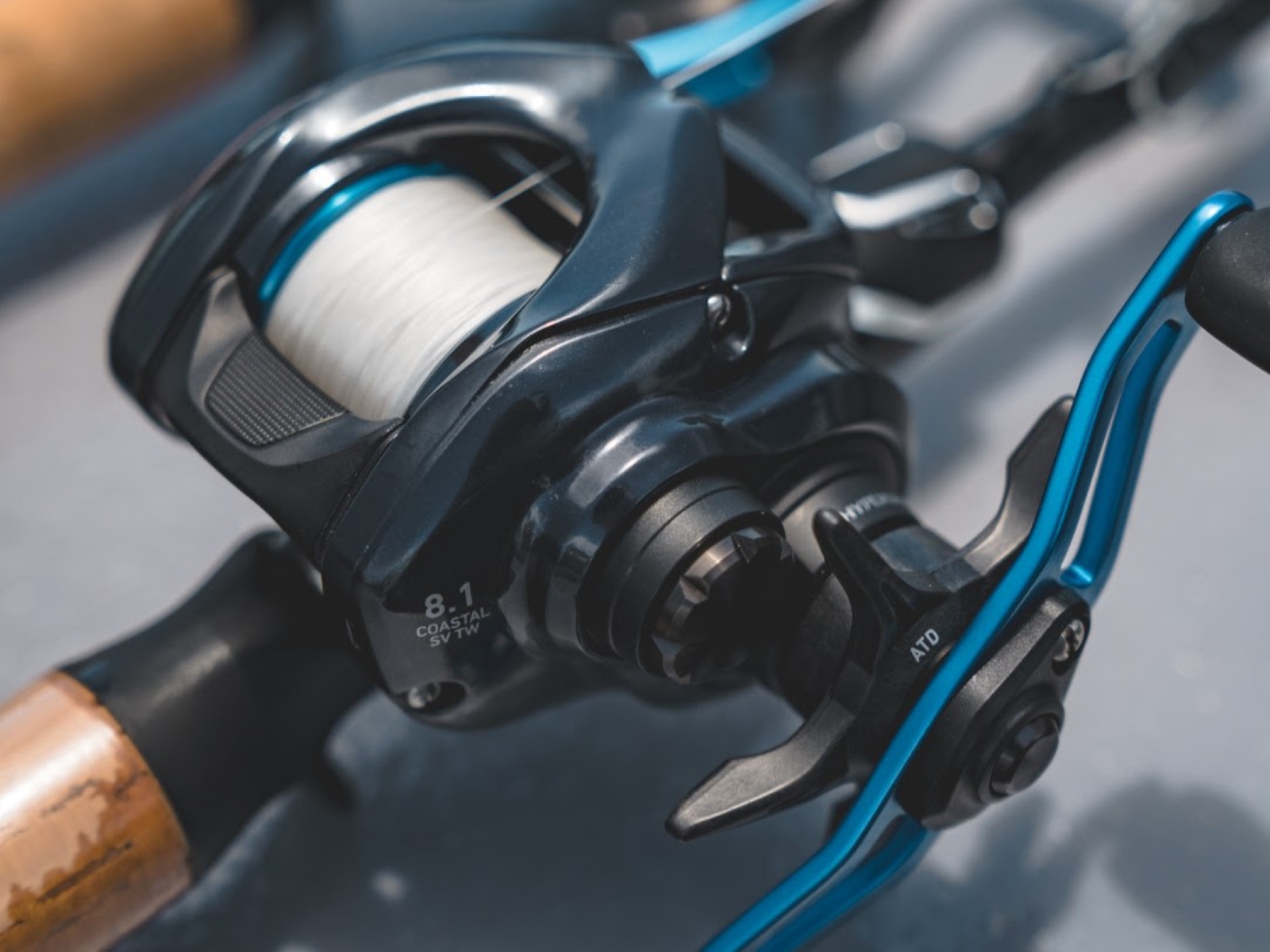 The DAIWA 24 Coastal SV TW 150 Baitcaster - Now Available