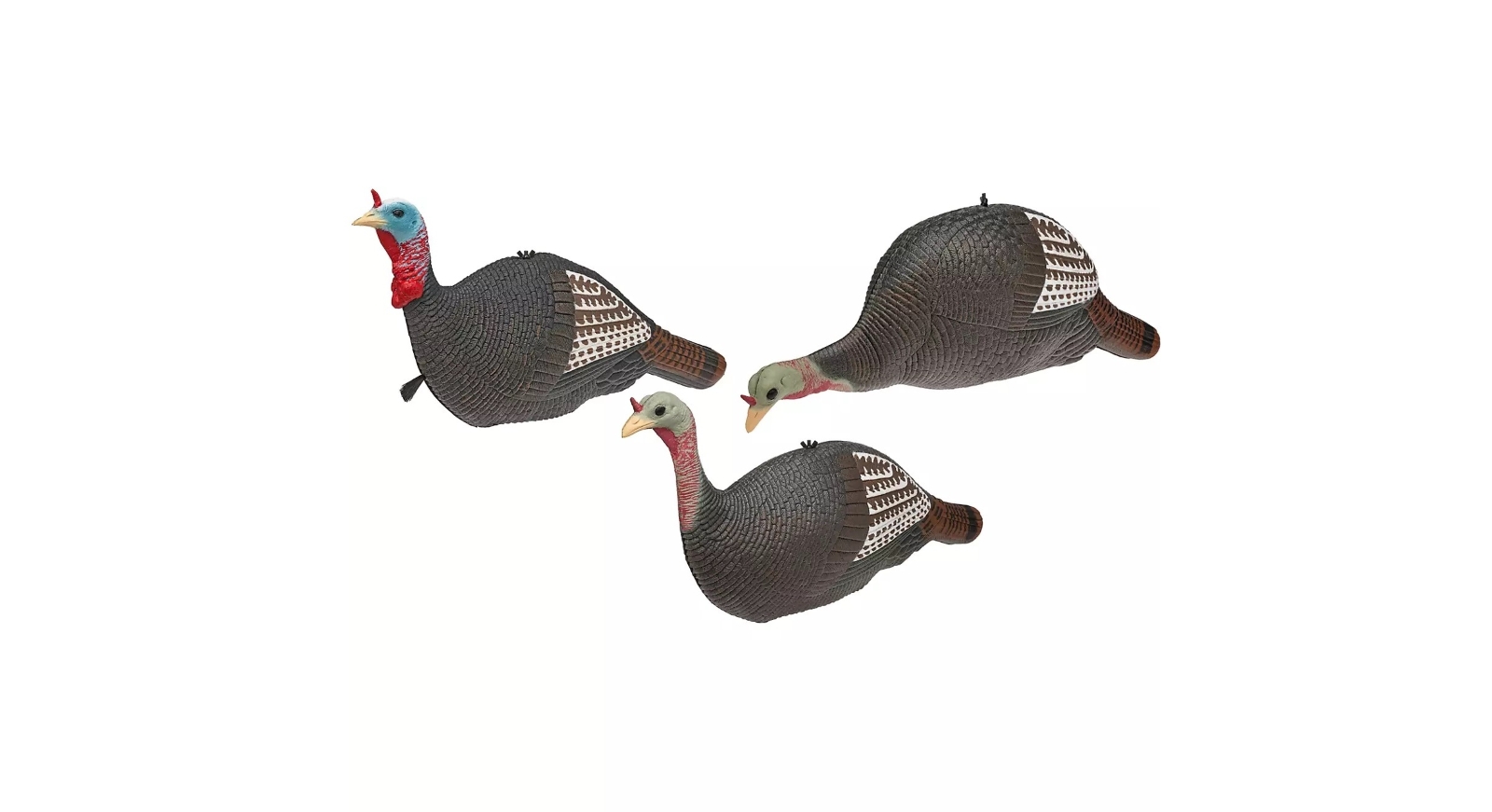 Get Ready for Turkey Season with Academy Sports + Outdoors