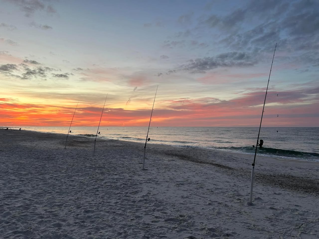 Orange Seashore Fishing Report: Publish Snowstorm