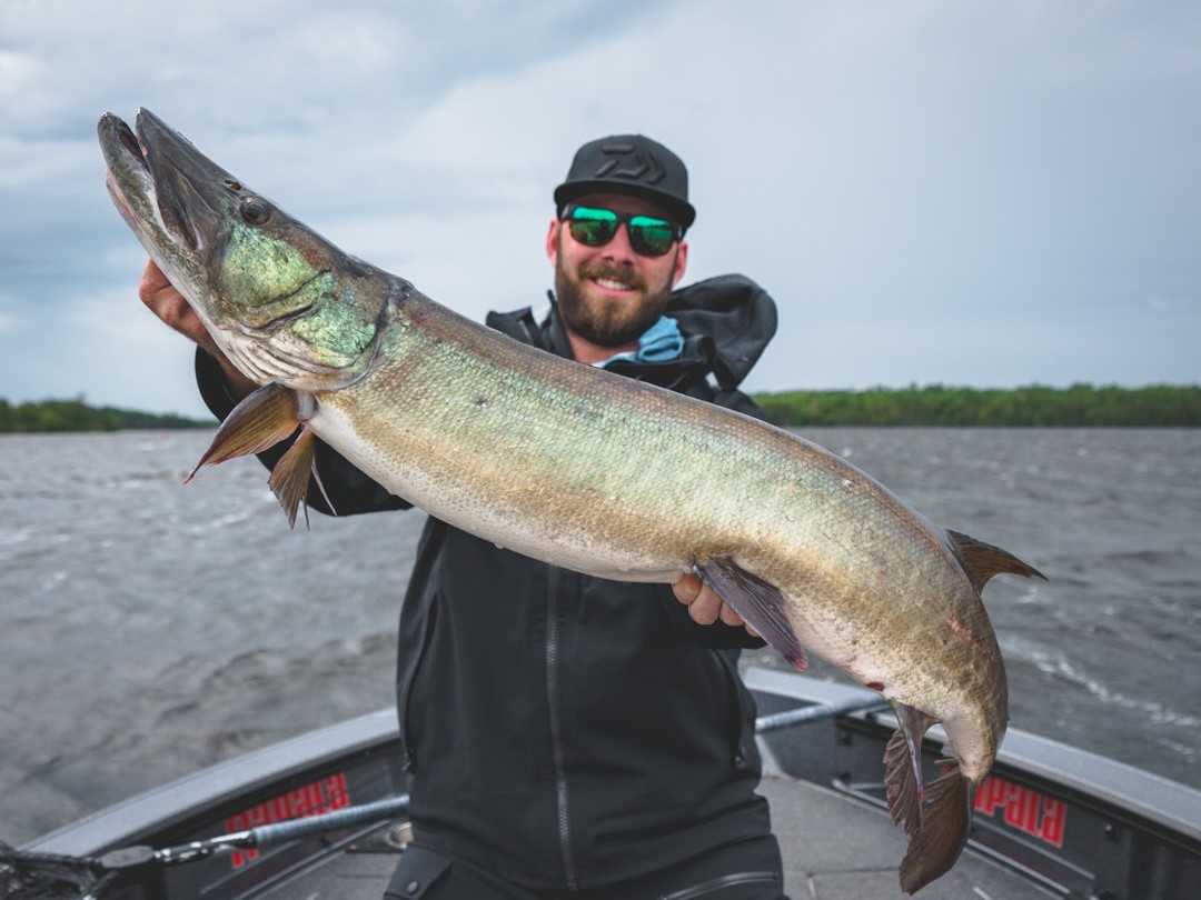 New Landmark Study of Leech Lake Muskie Launched by MN-FISH