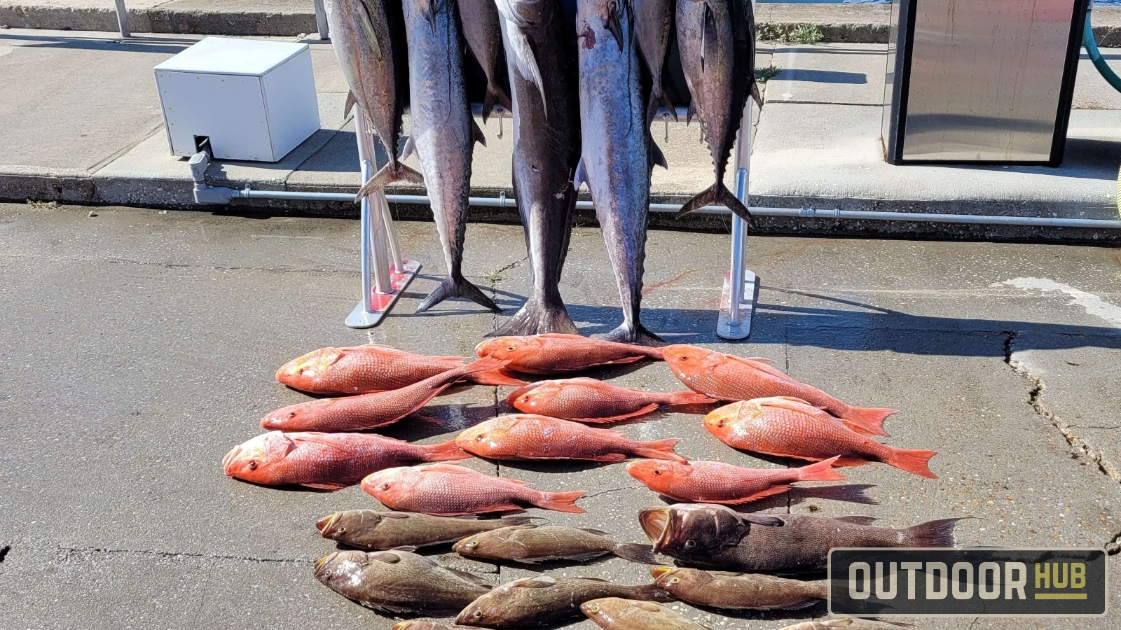 NOAA Announces 107 Day Gulf Red Snapper For-Hire Season for 2025