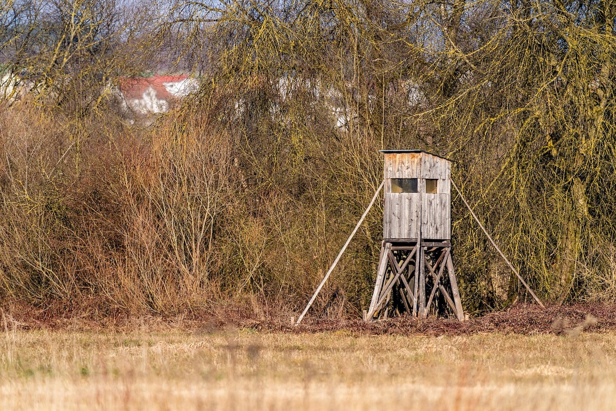 Pennsylvania Kills Sunday Searching Ban Pennsylvania Kills Sunday Searching Ban