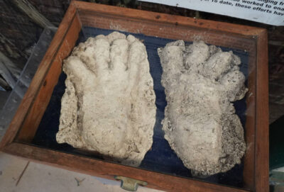 Cryptid footprint plaster casts in a museum