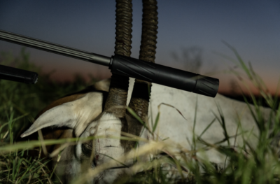 Close-up of the Silencer Central Banish 30 Gold V2 suppressor on a rifle resting against a harvested Scimitar Horned Oryx at sunset.