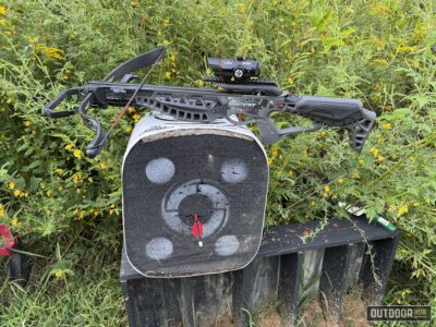 barnett wildcat crx target
